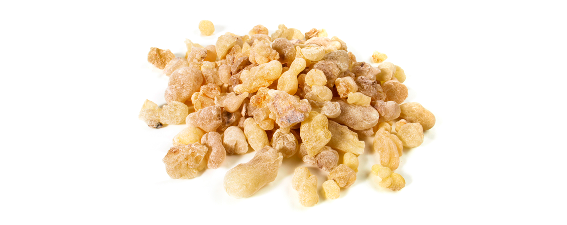 Boswellia Serrata planta tradicional com evidência atual em saúde osteoarticular