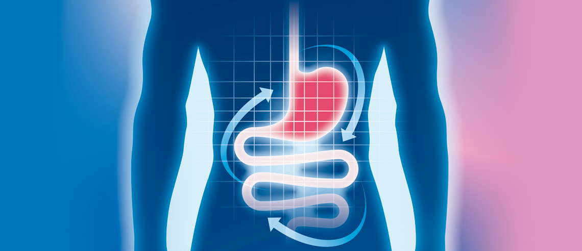 permeabilidade intestinal