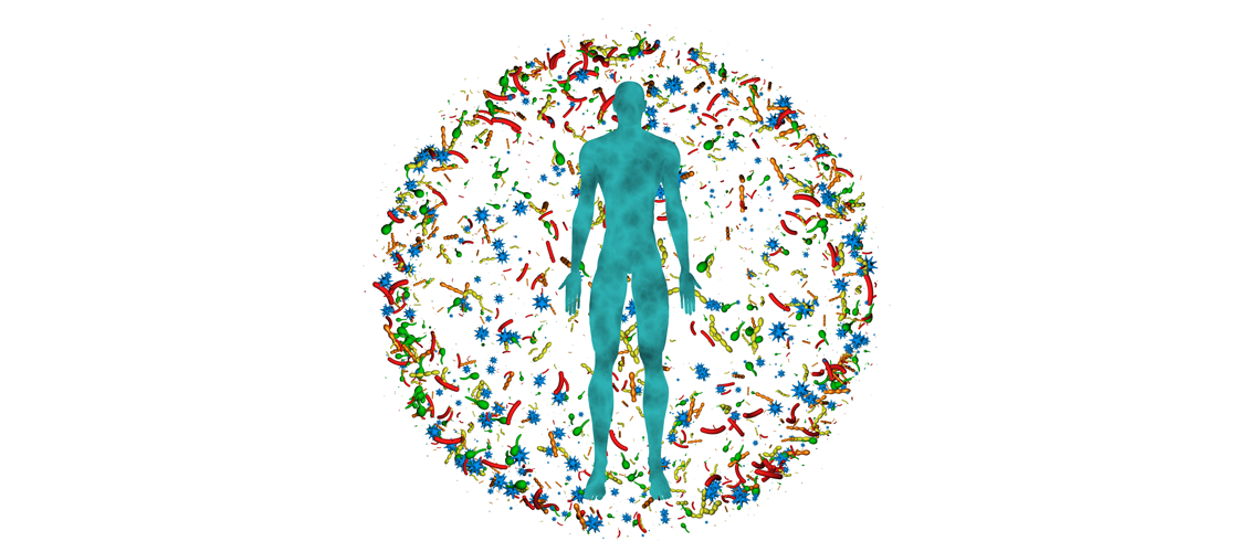 Relação entre a microbiota intestinal e o sistema imunitário