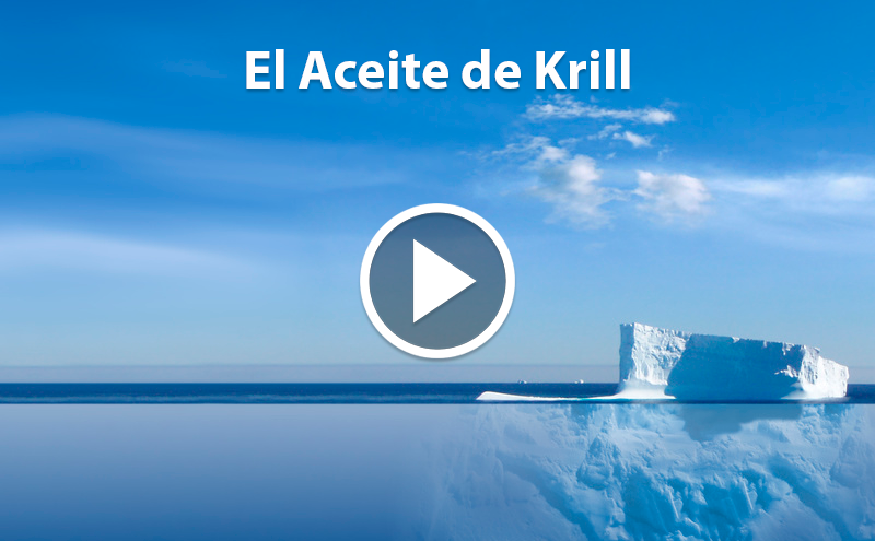 Conhece o óleo de Krill?