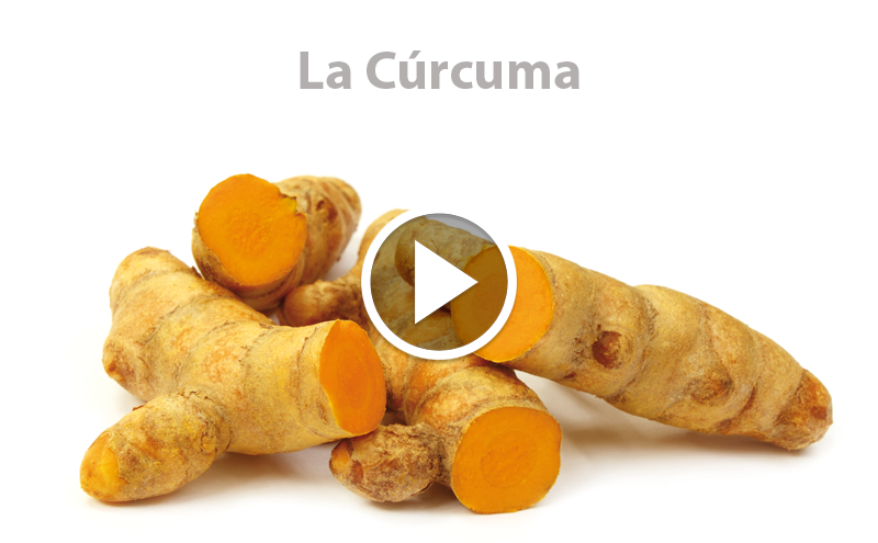 Conhece a cúrcuma?