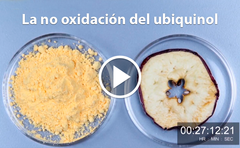 A não oxidação do Ubiquinol