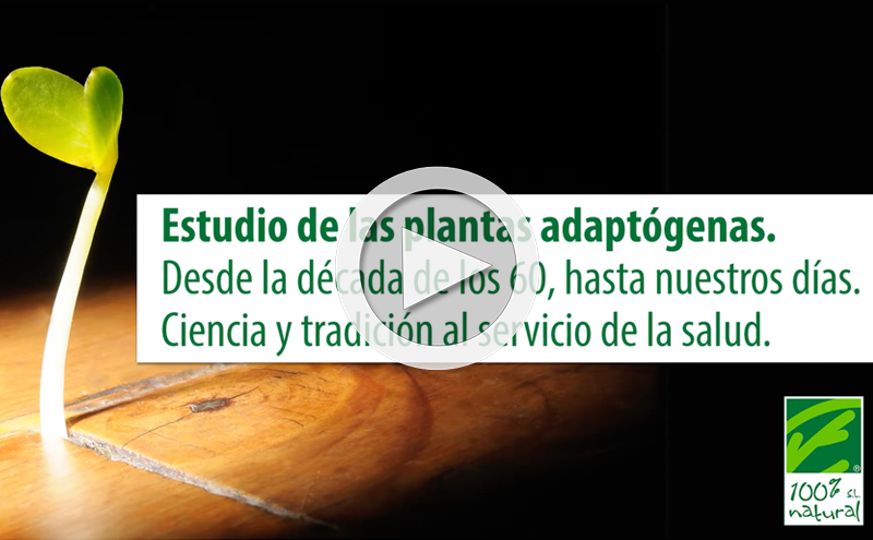 Estudo de plantas adaptogénicas