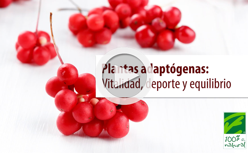 Plantas Adaptogénicas: Vitalidade, Desporto e Equilíbrio