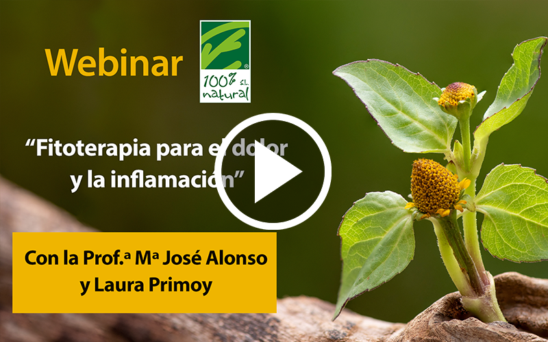 Webinar “Fitoterapia para Dor e Inflamação”