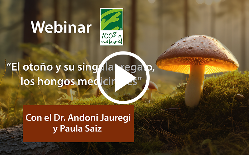 Webinar “Outono e o seu presente único: cogumelos medicinais”