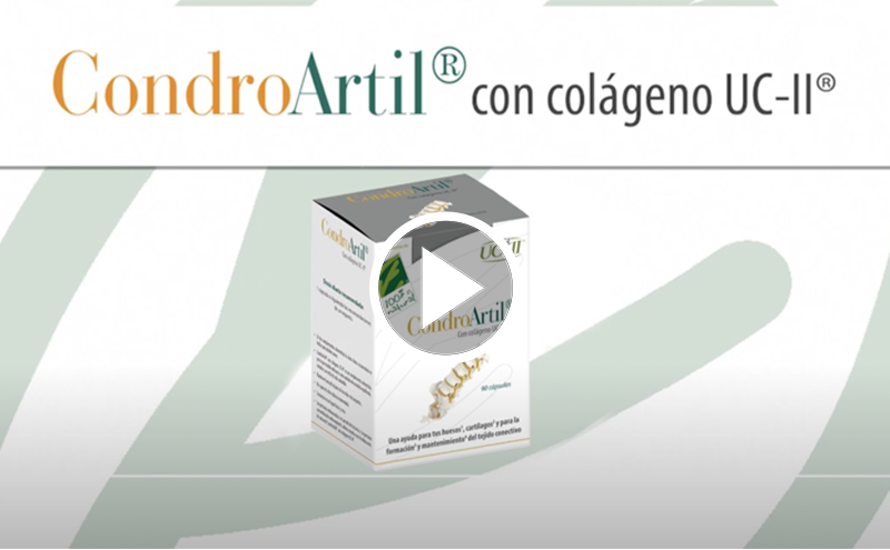 Colagénio não desnaturado tipo II